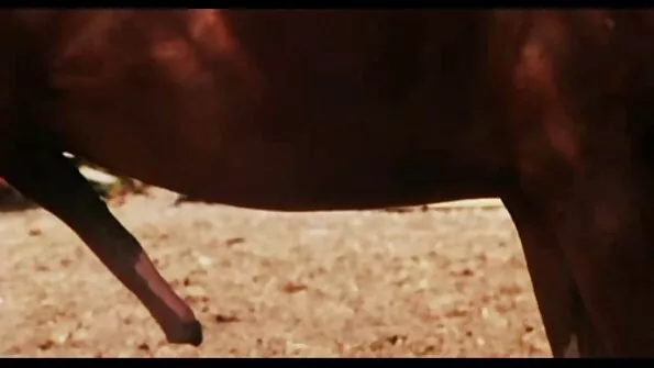 Тълпа от момчета чука млада порно българско мацка на групов кастинг.